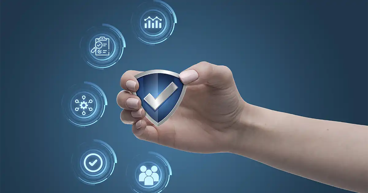 Bizitza aseguruaren berritzea: noiz berrikusi eta estaldurak egokitu?